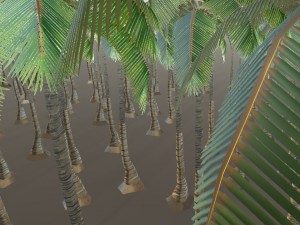 palm tree 3D Model
