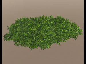 tree pack 3D Model