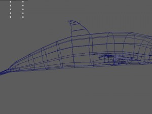 bottlenose dolphin 3D Model