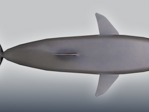 bottlenose dolphin 3D Model