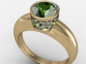 mfs0005 3D Druckmodell