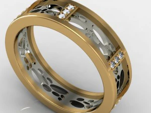 anel mfs0007 Modelo 3D