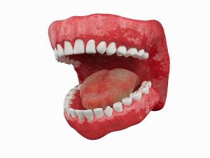 teeth Modelo 3D