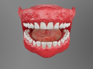 teeth Model 3D