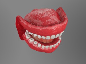teeth Model 3D