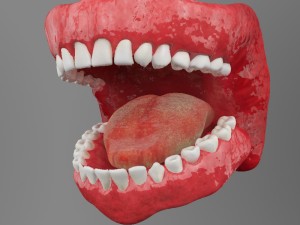 teeth Model 3D