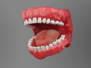 teeth Model 3D