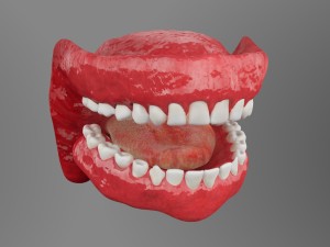 teeth Model 3D