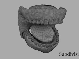 teeth Model 3D