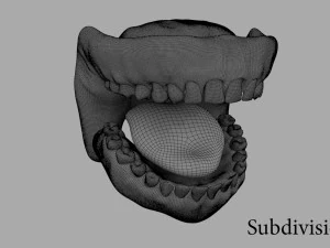 teeth 3D Model