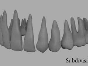 teeth Model 3D