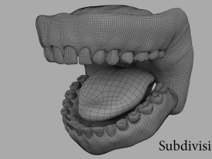 teeth Model 3D