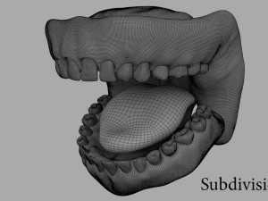 teeth Model 3D