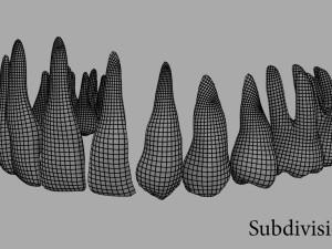 teeth Model 3D