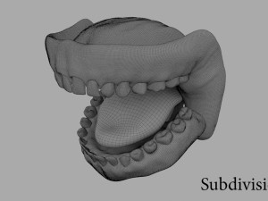 teeth Model 3D
