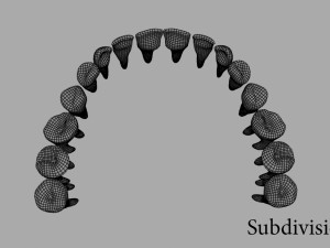 teeth Model 3D
