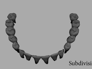 teeth Model 3D