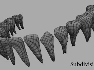 teeth Model 3D