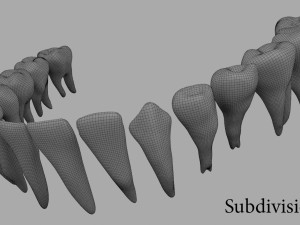 teeth Model 3D