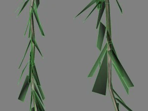weeping willow tree 01 3D Model