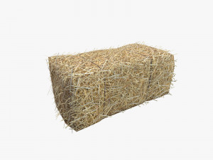 Low Poly Hay bale with LOD 3D Model
