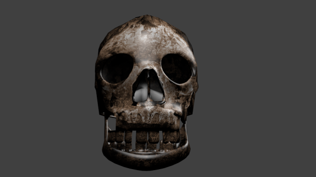 skull 3D Model .c4d .max .obj .3ds .fbx .stl .blend 