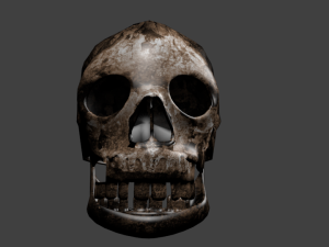 skull 3D 模型