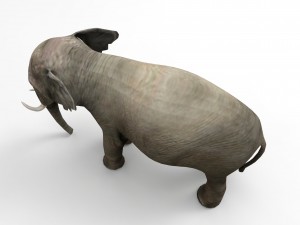 asia elephant 3D 모델