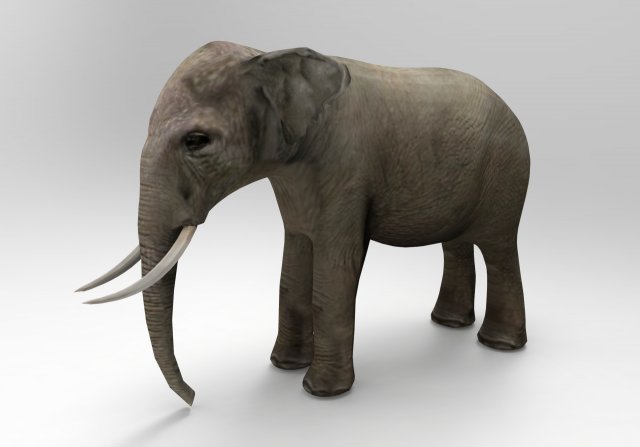 asia elephant 3D 모델 .c4d .max .obj .3ds .fbx .stl .blend 