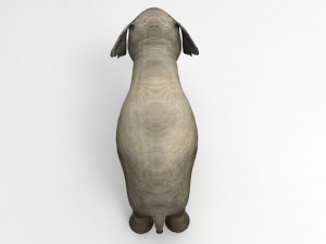 asia elephant 3D 모델