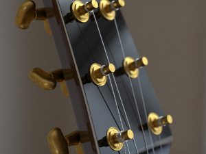 takamine acoustic guitar 3D 모델