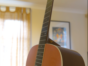 takamine acoustic guitar 3D 모델