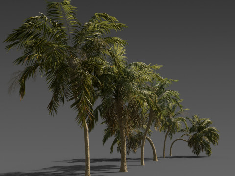 Stylized Palm Tree Pack 6 Unique Models 3D Model