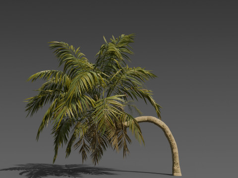 Stylized Palm Tree Pack 6 Unique Models 3D Model