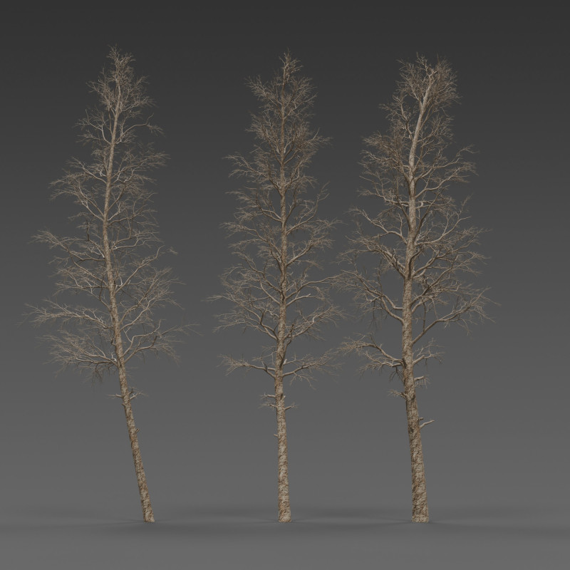 Dead Pine Tree Pack Model 3D .c4d .max .obj .3ds .fbx .stl .blend