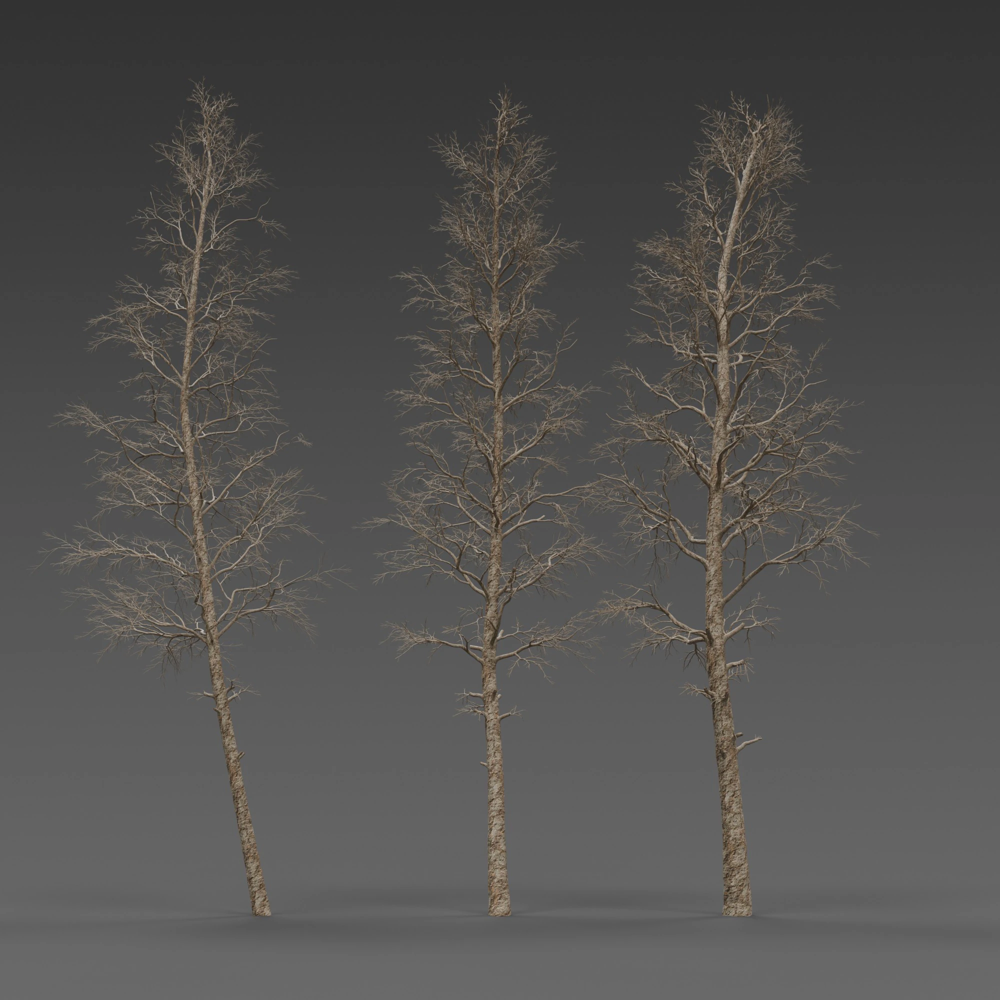 Dead Pine Tree Pack 3D Model .c4d .max .obj .3ds .fbx .stl .blend