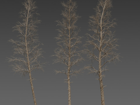 Dead Pine Tree Pack 3Dモデル