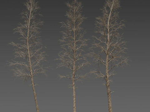Пакет &laquo;Мертва сосна&raquo;. 3D Модель