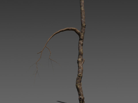 Wraithwood Trunks 3 Stylized Dead Tree Model 3D