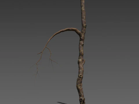 Wraithwood Trunks 3 Stylized Dead Tree 3D Model
