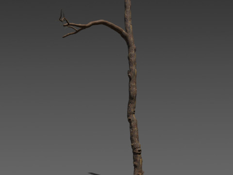Wraithwood Trunks 3 Stylized Dead Tree Model 3D