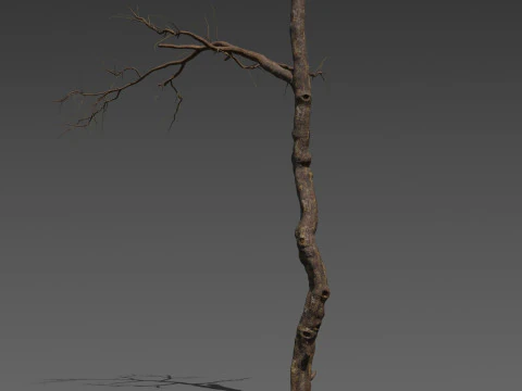 Wraithwood Trunks 3 Stylized Dead Tree 3D Model