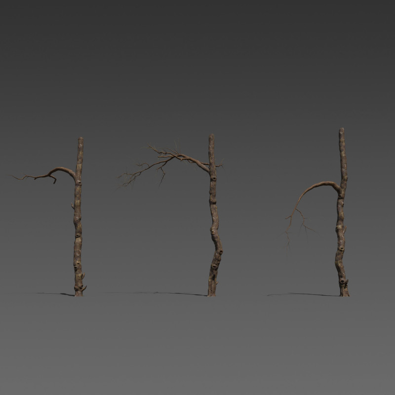 Wraithwood Trunks 3 Stylized Dead Tree Model 3D .c4d .max .obj .3ds .fbx .stl .blend