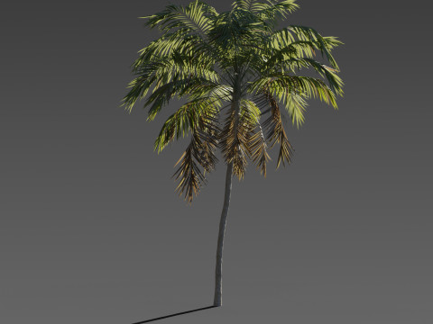 Set of 6 Stylized Palm Tree s 3D 모델