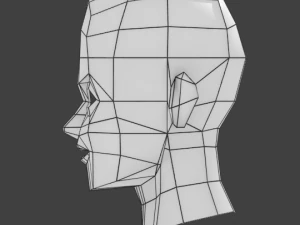 super low-poly head base mesh 3D Model