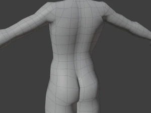 Stylized humanoid base mesh - male 3D Model