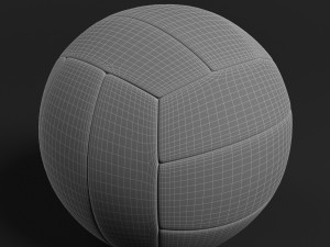 volleyball Modello 3D