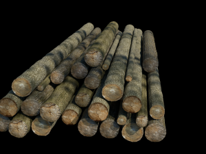 logs 3D मॉडल