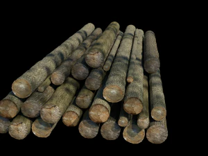 журналы 3D Модель