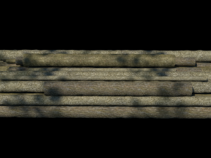 logs 3D Model